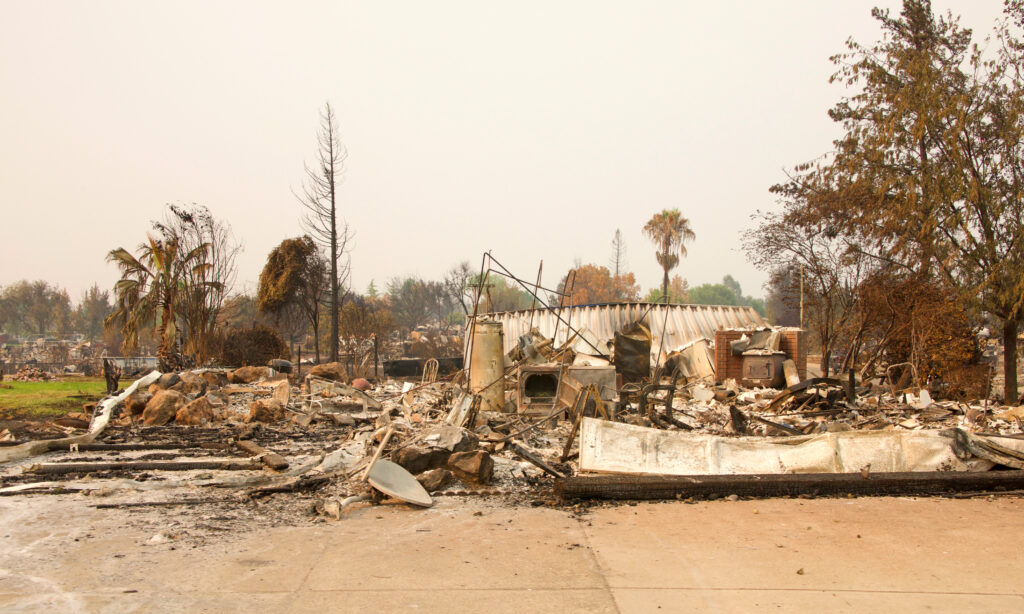 Property Damage