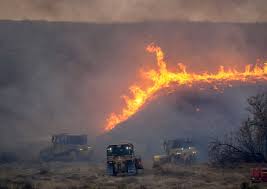 Wildfires can cause property damage, income loss, and long-term financial harm for California businesses.