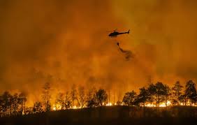 Wildfires can cause destruction to homes, businesses, land, vehicles, and essential infrastructure.