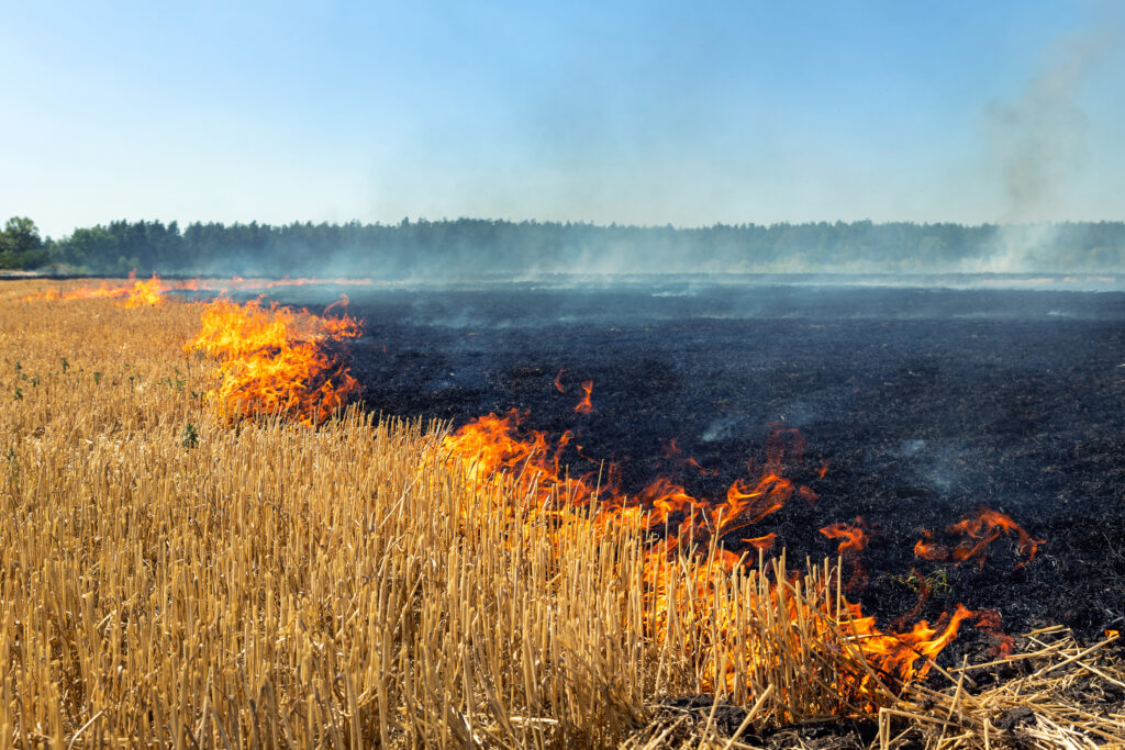 Climate Change Impact Wildfire Risks