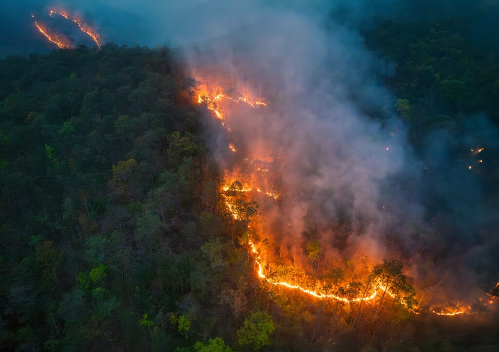 climate change leads to more frequent fires
