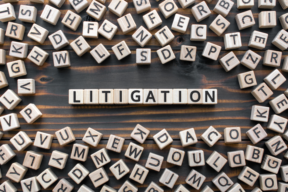 Litigation Process