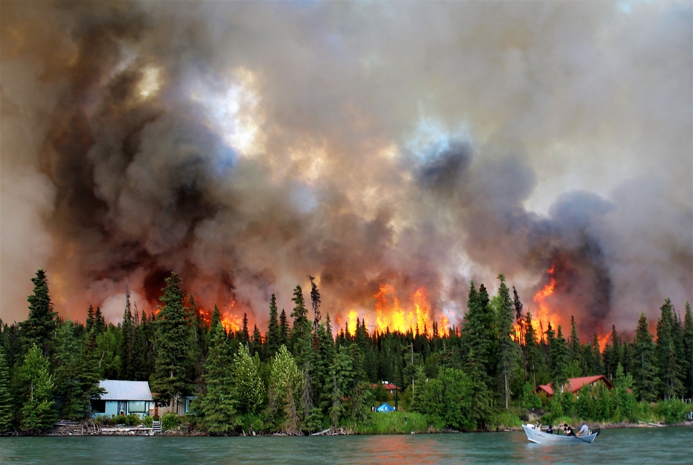 Image showing downed power lines sparking in a dry field, representing utility company-caused wildfire destruction.