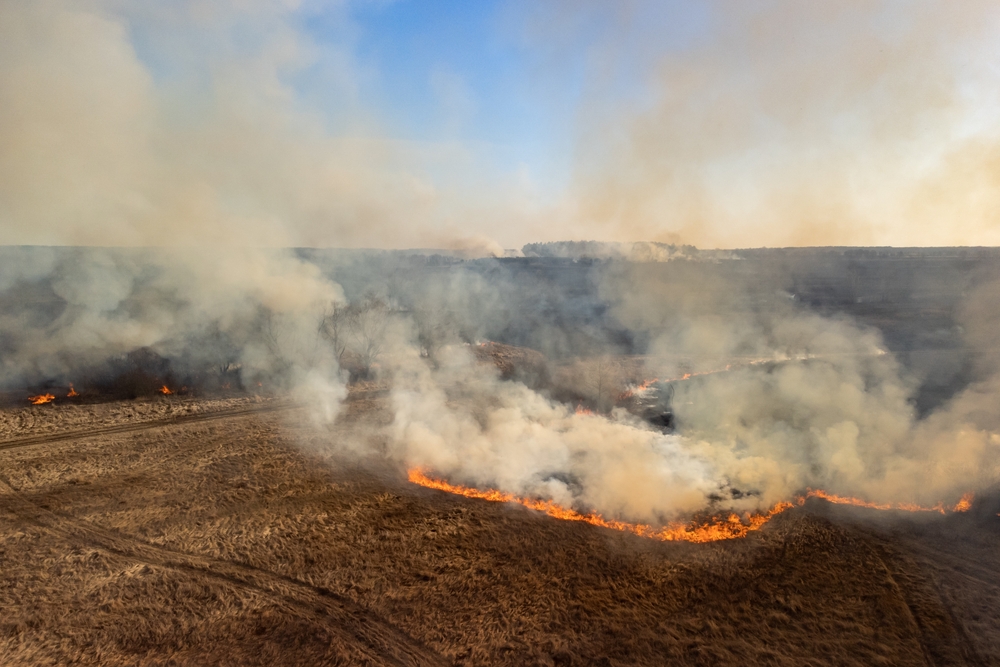 image showing wildfire victims consulting with a lawyer, highlighting concerns about legal fees and compensation rights.